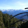 Kings canyon et Sequoia 11